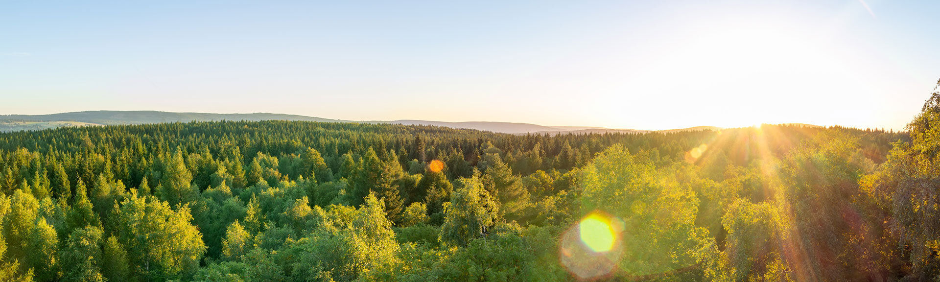 Panoramic View To Summer Czech Forest Landscape At Sunset. Nature Reserve Krusne, Ore Mountains